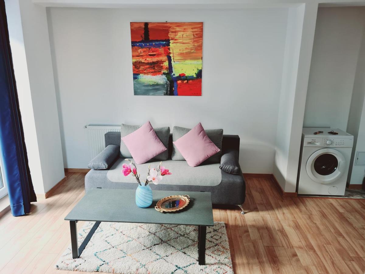 Ultracentral 5* Boutique Hotel Style Apartment. Brand New. 2 Rooms. Spacious. Free Parking Cluj-Napoca Exteriör bild