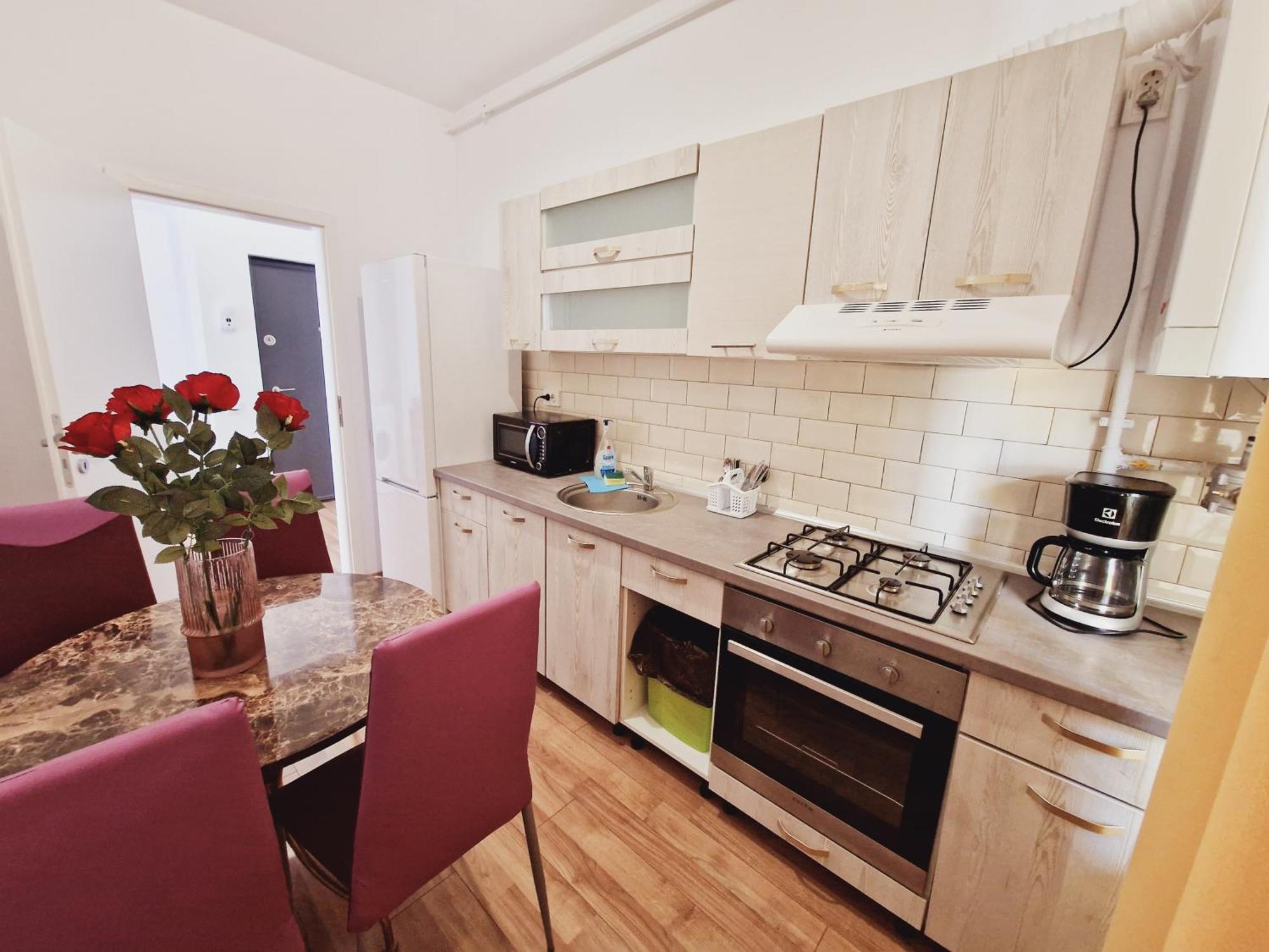 Ultracentral 5* Boutique Hotel Style Apartment. Brand New. 2 Rooms. Spacious. Free Parking Cluj-Napoca Exteriör bild